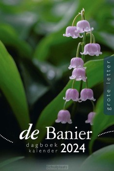 BANIER 2024 DAGBOEKKALENDER GROOT - 9789087189549