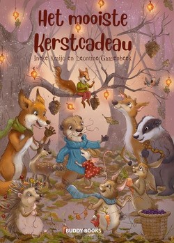 HET MOOISTE KERSTCADEAU - KRAIJO, INEKE - 9789087821173