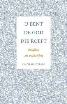 U BENT DE GOD DIE ROEPT - VERGUNST, P. J. - 9789088973819