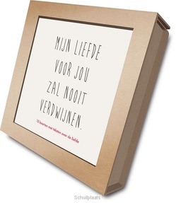 MIJN LIEFDE VOOR JOU ZAL NOOIT VERDWIJNE - 9789089120984
