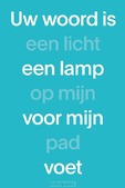 NBV21 PAPERBACK (BLAUW) - 9789089124463