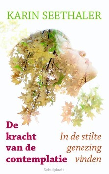 DE KRACHT VAN DE CONTEMPLATIE - SEETHALER, KARIN - 9789089721389