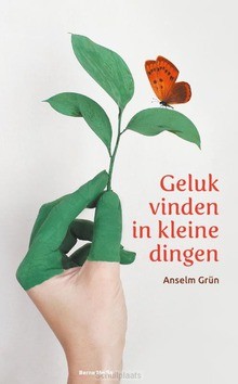 GELUK VINDEN IN KLEINE DINGEN - GRÜN, ANSELM - 9789089723437