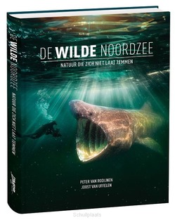 DE WILDE NOORDZEE - RODIJNEN, PETER VAN; UFFELEN, JOOST VAN - 9789090388564