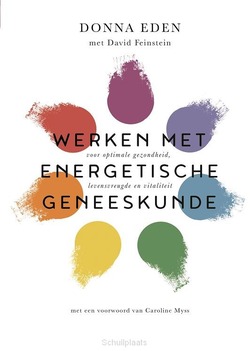WERKEN MET ENERGETISCHE GENEESKUNDE - EDEN, DONNA - 9789401304528