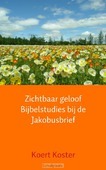 ZICHTBAAR GELOOF BIJBELSTUDIES BIJ DE JA - KOSTER, KOERT - 9789402109481