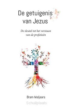 DE GETUIGENIS VAN JEZUS - MALJAARS, BRAM - 9789402248371