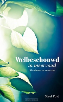 WELBESCHOUWD IN MEERVOUD - POST, STEEF - 9789402913514