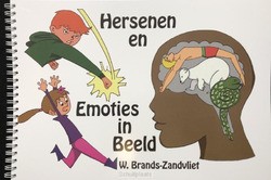 HERSENEN EN EMOTIES IN BEELD - BRANDS - ZANDVLIET - 9789461907561