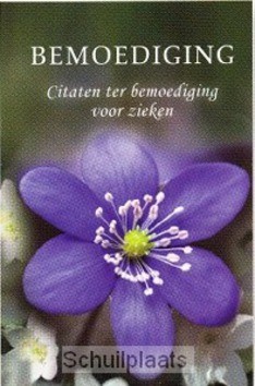 BEMOEDIGING - KRANENDONK, J. - 9789462780354