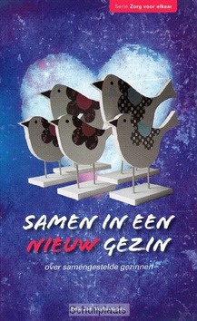 SAMEN IN EEN NIEUW GEZIN - VERBRUGGEN, E - 9789462780606