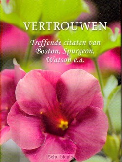 PARELTJE VERTROUWEN - 9789462781757
