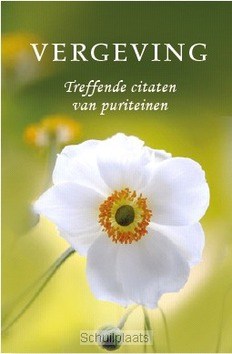 PARELTJE VERGEVING - 9789462782785