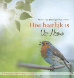 HOE HEERLIJK IS UW NAAM - HARTINGSVELDT-M, A. VAN - 9789462782846