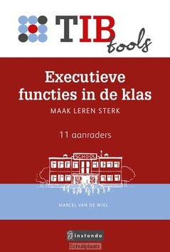 EXECUTIEVE FUNCTIES IN DE KLAS - WIEL, MARCEL VAN DE - 9789463170093
