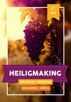 HEILIGMAKING - RYLE, J.C. - 9789463350174
