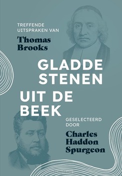 GLADDE STENEN UIT DE BEEK - SPURGEON, CHARLES H - 9789463351683