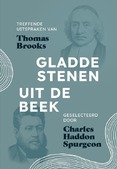 GLADDE STENEN UIT DE BEEK