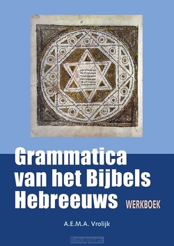 WERKBOEK BIJ GRAMMATICA VAN HET BIJBELS - VROLIJK, A.E.M.A. - 9789463693431