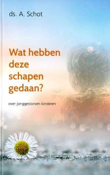 WAT HEBBEN DEZE SCHAPEN GEDAAN - SCHOT, A. - 9789463700511