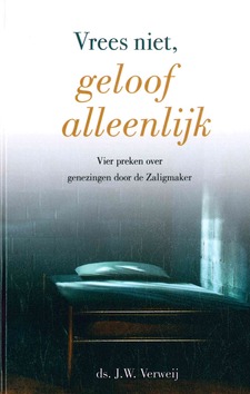 VREES NIET GELOOF ALLEENLIJK - VERWEIJ, J.W. - 9789463701273