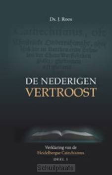 NEDERIGEN VERTROOST 1 - ROOS, DS. J. - 9789463702164