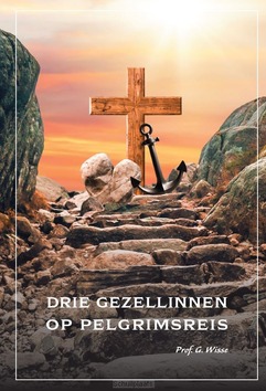 DRIE GEZELLINNEN OP PELGRIMSREIS - WISSE, G. - 9789463703161