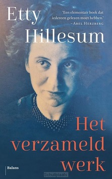 HET VERZAMELD WERK - HILLESUM, ETTY - 9789463821711