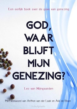GOD, WAAR BLIJFT MIJN GENEZING? - VAN WIJNGAARDEN, LEO - 9789465315874