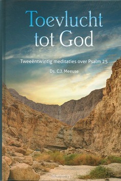 TOEVLUCHT TOT GOD - MEEUSE, C.J. - 9789491000379