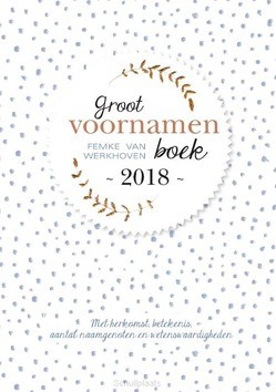 GROOT VOORNAMENBOEK / 2018 - WERKHOVEN, FEMKE VAN - 9789491874079