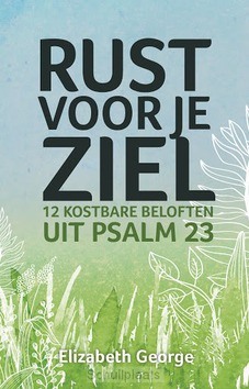 RUST VOOR JE ZIEL - GEORGE, ELIZABETH - 9789492234667