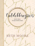 ONTDEKKINGSREIS (WERKBOEK) - MOORE, BETH - 9789492831255