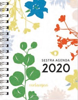 SESTRA AGENDA 2020 - 2020 (WIERSEMA) - 9789492831262