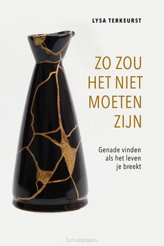ZO ZOU HET NIET MOETEN ZIJN - TERKEURST, LYSA - 9789492831590