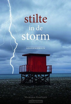 STILTE IN DE STORM - GOOTJES, MARIJKE - 9789492959706