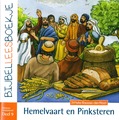 BIJBELLEESBOEKJE NT 9 HEMELVAART EN PINK - KLAASSE,-DEN HAAN, DITTEKE - 9789492987228