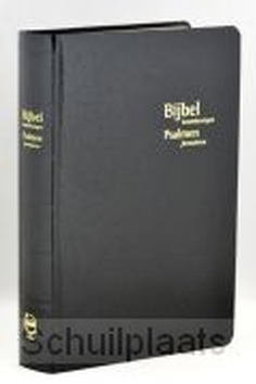 BIJBEL KANTTEKENINGEN SCHOOLED KOKER - SV - 9789492987600