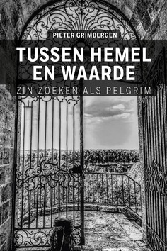 TUSSEN HEMEL EN WAARDE - GRIMBERGEN, PIETER - 9789493198906