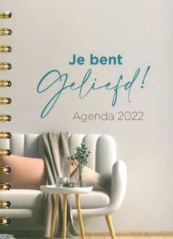 JE BENT GELIEFD AGENDA 2022 - HOWER OF POWER - 9789493206090