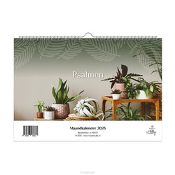 MAANDKALENDER MAJESTIC ALLY - 2026 - 9789493206625