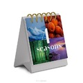 BUREAUKLAPPER 4 SEASONS - 9789493206700
