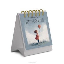BUREAUKLAPPER KNIPOOGJES - ESCH, JOUKJE VAN - 9789493206717