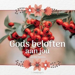 GODS BELOFTEN AAN JOU - HEERENS, DANIELLE - 9789493208575
