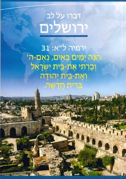 NIEUW TESTAMENT HEBREEUWS - 9789654310321