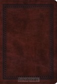 ESV - LARGE PRINT COMPACT BIBLE