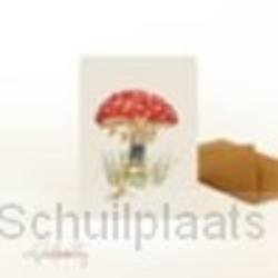 FOTOLYST MAGNEET 9X9 ALS IK EEN BLOEM ZO - H31