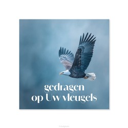GEDRAGEN OP UW VLEUGELS - PLEXIGLAS 15CM - MA39563