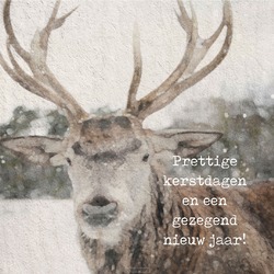 MINIKERSTKAART ELAND - KERST - MA41211
