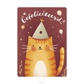 KAART GEFELICITEERD  KAT